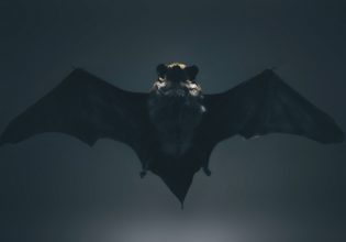 Γιατί οι ιοί από νυχτερίδες εξακολουθούν να απειλούν τον άνθρωπο;