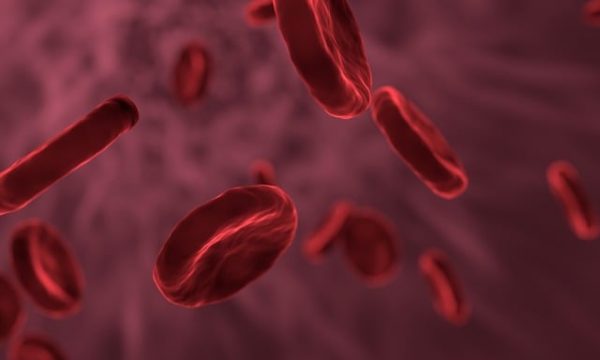 Αίμα: Δημιουργήθηκε σε εργαστήριο και χορηγείται πρώτη φορά σε ανθρώπους – Τι υπόσχεται η επαναστατική ανακάλυψη