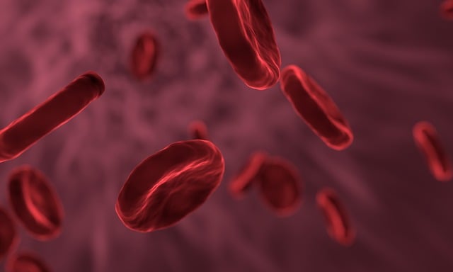 Αίμα: Δημιουργήθηκε σε εργαστήριο και χορηγείται πρώτη φορά σε ανθρώπους - Τι υπόσχεται η επαναστατική ανακάλυψη