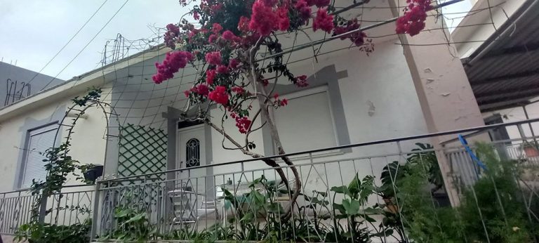 Ρόδος: Μειωμένο καταλογισμό θα υποστηρίξει η 45χρονη οικιακή βοηθός