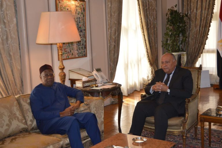 Αίγυπτος: Δεν υπάρχει λύση στη Λιβύη χωρίς τον τερματισμό της ξένης στρατιωτικής παρουσίας