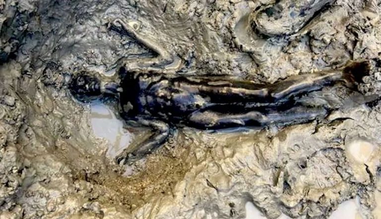 Ιταλία: Είκοσι τέσσερα μπρούντζινα ρωμαϊκά και ετρουσκικά αγάλματα ανακαλύφθηκαν στην Τοσκάνη [Εικόνες και βίντεο]