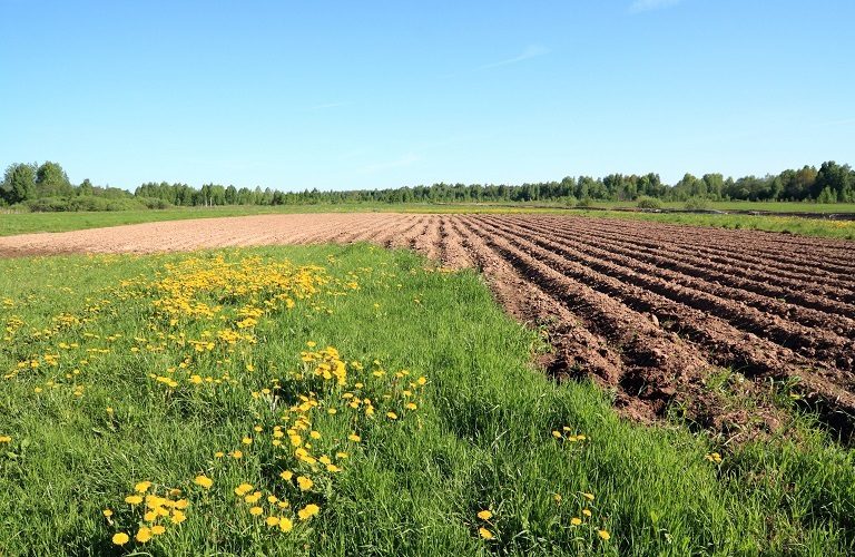 ΟΠΕΚΕΠΕ: Πώς θα αποδειχτεί η κατοχή νόμιμων αγροτεμαχίων