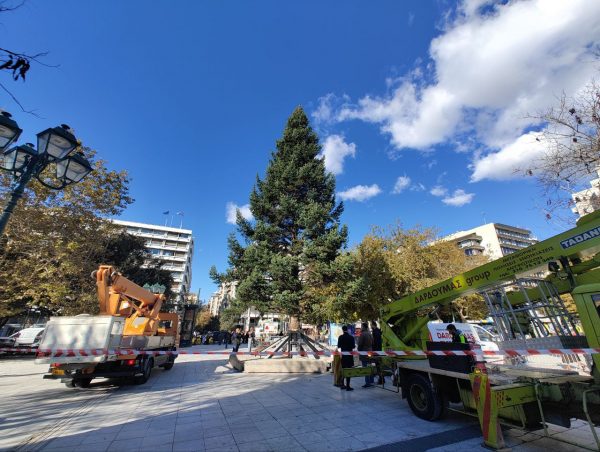 Έλατο 21 μέτρων από το Καρπενήσι το χριστουγεννιάτικο δέντρο στο Σύνταγμα – Ζυγίζει 6 τόνους