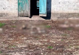 Ουκρανία: Καγκουρό, βίσωνα ακόμη και καμήλες έφαγαν Ρώσοι στρατιώτες από ζωολογικό κήπο στο Ντόνετσκ