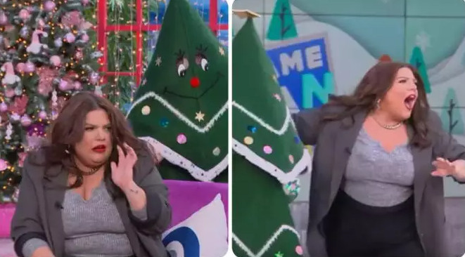 Δανάη Μπάρκα: Την τρόμαξε… ένα χριστουγεννιάτικο δέντρο