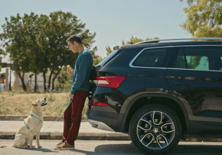 Σκύλος στο αυτοκίνητο – Tips για ασφαλείς διαδρομές με τον τετράποδο φίλο μας