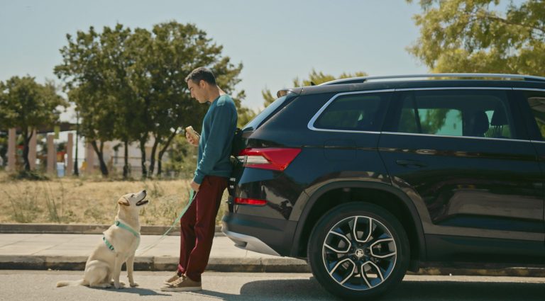 Σκύλος στο αυτοκίνητο – Tips για ασφαλείς διαδρομές με τον τετράποδο φίλο μας