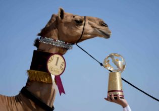 Μουντιάλ: Ποιος Μέσι; Top ατραξιόν τα καλλιστεία καμήλας στο Κατάρ