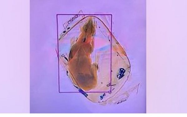 ΗΠΑ: Σκύλος εντοπίστηκε μέσα σε χειραποσκευή σε αεροδρόμιο του Ουισκόνσιν