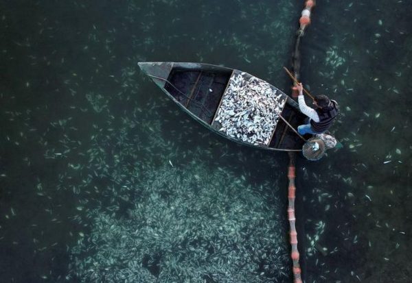 Γιάννης Φλούλης: Φωτογραφία του στις κορυφαίες της χρονιάς για το Reuters