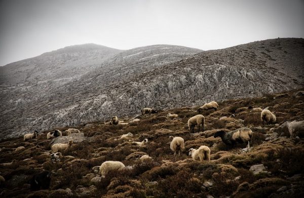 Εξισωτική Αποζημίωση: Ποιοι δικαιούχοι εντάσσονται