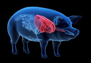 Ιατρική: Οι μεγάλες υποσχέσεις που αφήνει το 2022