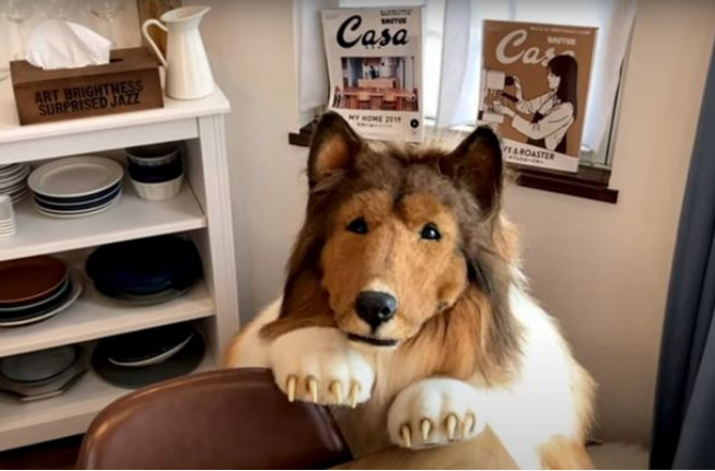 Έδωσε 12.480 λίρες για να γίνει σκύλος