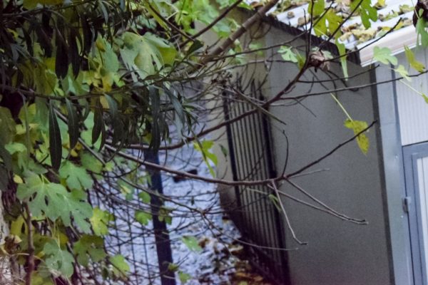 Σέρρες: Ελεύθεροι οι δύο συλληφθέντες για τη φονική έκρηξη σε δημοτικό σχολείο