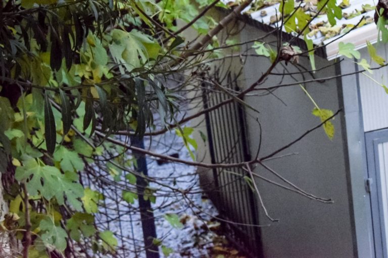 Σέρρες: Ελεύθεροι οι δύο συλληφθέντες για τη φονική έκρηξη σε δημοτικό σχολείο