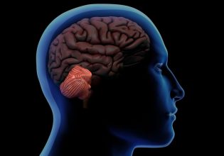 Κοροναϊός: Το στρες της πανδημίας φαίνεται να γέρασε πρόωρα τους εγκεφάλους των εφήβων