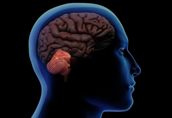 Κοροναϊός: Το στρες της πανδημίας φαίνεται να γέρασε πρόωρα τους εγκεφάλους των εφήβων