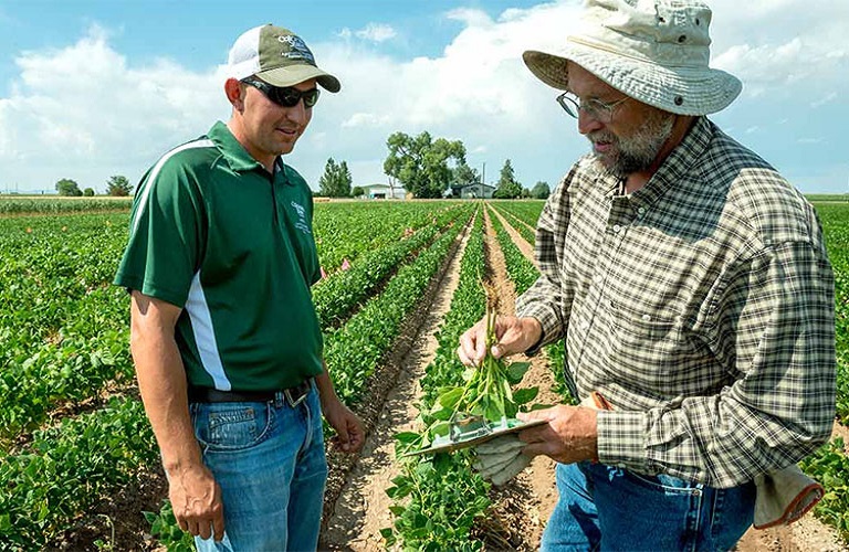 ΚΑΠ: 3 συμβουλές ανά αγρότη - Πώς θα παρέχονται