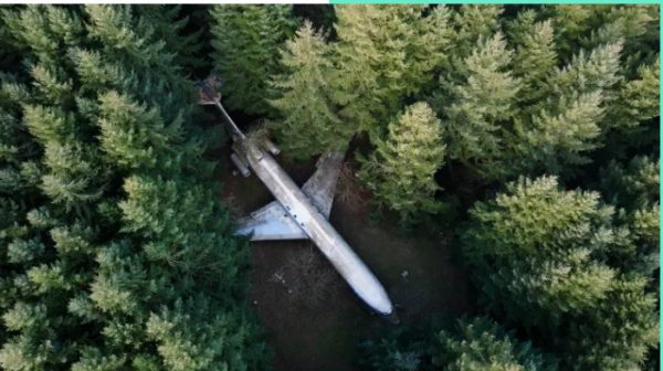 Αμερικανός δίνει 370 δολάρια το μήνα για να ζει σε αεροπλάνο μέσα στο δάσος