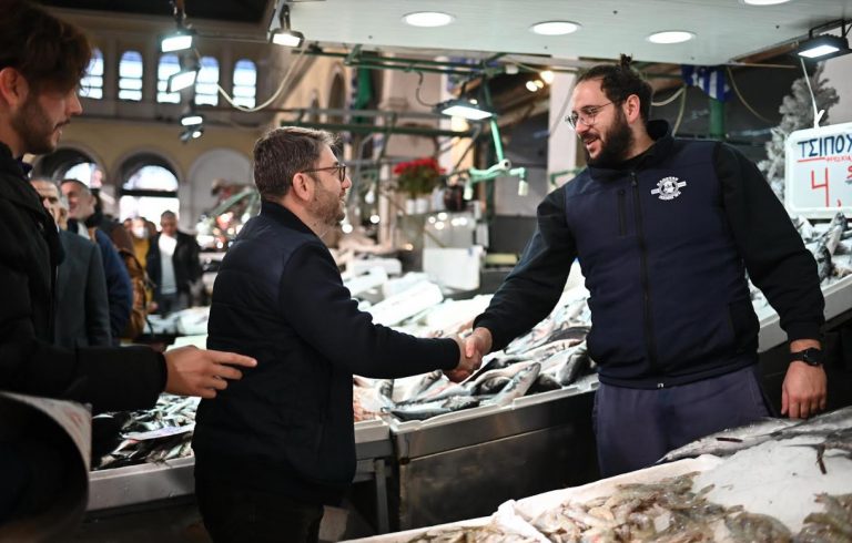 Ανδρουλάκης: Ο κ. Μητσοτάκης βαφτίζει λαϊκισμό ό,τι δεν τον συμφέρει