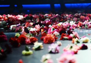 Πελάτης σε μπουζούκια ξόδεψε 40.000 ευρώ σε λουλούδια