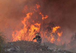 Χιλή: Μάχη για την αντιμετώπιση πολλαπλών πυρκαγιών – Εκκενώνονται περιοχές
