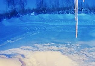 Σπάνια πλάνα δείχνουν άλκη να ρίχνει τα κέρατά της – «Μία στο εκατομμύριο»