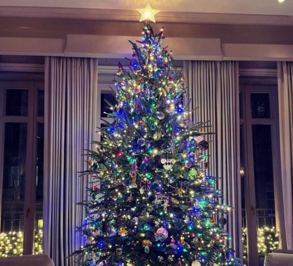 Χριστούγεννα: Οι διάσημοι στόλισαν και είναι έτοιμοι για τις γιορτές