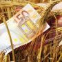 ΟΠΕΚΕΠΕ: Πιστώνονται οι προκαταβολές των γεωργοπεριβαλλοντικών μέτρων