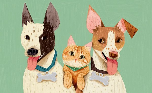 Η Νέα Υόρκη απαγορεύει στα καταστήματα κατοικίδιων ζώων να πωλούν σκύλους, γάτες και κουνέλια