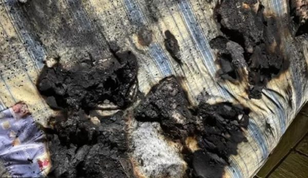 Βρετανία: Σκύλος άναψε πιστολάκι μαλλιών πάνω σε κρεβάτι και πήρε φωτιά το σπίτι