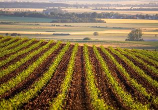 Ταμείο Ανάκαμψης: Επενδυτικά σχέδια ύψους 403 εκατ. ευρώ σε δράσεις του πρωτογενούς τομέα