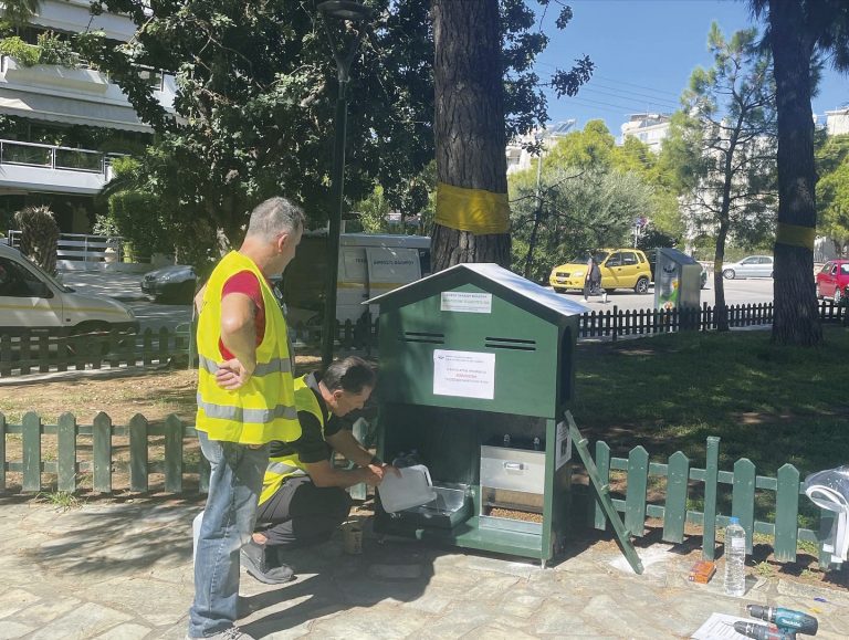 Δήμος Π. Φαλήρου: Έγκριση χρηματοδότησης για τα αδέσποτα ζώα