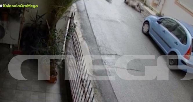 Ίλιον: Στα χέρια των αρχών πατέρας και γιος που έκλεβαν ηλικιωμένες