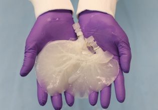 Μεταμοσχεύσεις: Αλχημιστές της βιολογίας μετατρέπουν όργανα ζώων σε ανθρώπινα