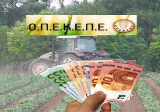 Γεωργαντάς: Η πληρωμή του ΟΠΕΚΕΠΕ στο gov.gr υπέρ των συμφερόντων των αγροτών