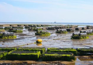 ΕΕ: «Πακέτο» ύψους 363,7 εκατ. ευρώ για αλιεία και υδατοκαλλιέργεια