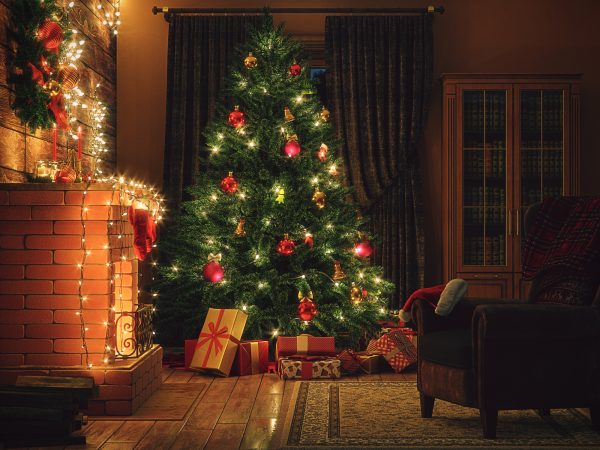 Χριστουγεννιάτικο δέντρο: 6 διαφορετικά διακοσμητικά στυλ για να διαλέξεις το δικό σου