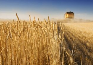 ΕΕ: Αυξημένη η παραγωγικότητα της αγροτικής εργασίας το 2022