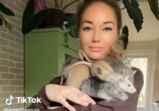 Ολλανδία: Ζει μαζί με επτά αρουραίους – Τα βίντεο της δασκάλας που «σαρώνει» στο TikTok