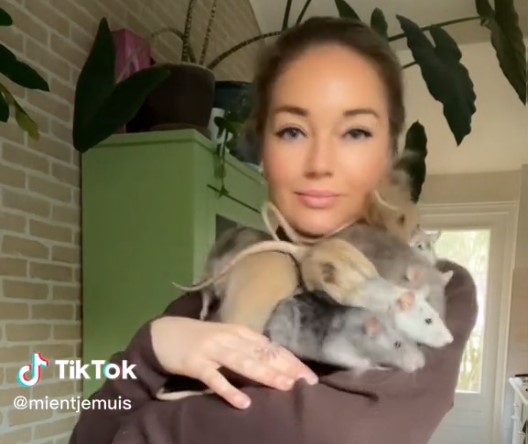 Ολλανδία: Ζει μαζί με επτά αρουραίους – Τα βίντεο της δασκάλας που «σαρώνει» στο TikTok