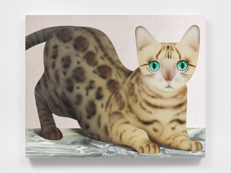 Νέα Υόρκη: Γάτες γέμισε διάσημη γκαλερί