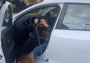 Σκύλος γνώρισε αμέσως τον ιδιοκτήτη του μετά από πέντε χρόνια – «Το πιο ωραίο δώρο γενεθλίων»