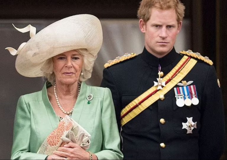 Πρίγκιπας Χάρι: Η Καμίλα είναι κακιά και επικίνδυνη – Έδινε πληροφορίες στα ΜΜΕ