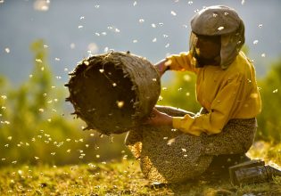 Φεστιβάλ Ντοκιμαντέρ Θεσσαλονίκης: Αφιέρωμα σε ταινίες παρατήρησης