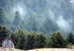 Untrodden Mountains: Mount Mainalo in high protection status – Seven more