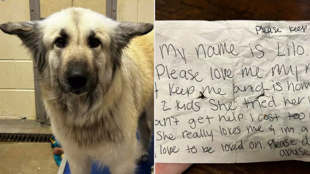 «Με λένε Lilo, αγαπήστε με»: Το συγκινητικό μήνυμα και η επανένωση με την άστεγη μαμά της