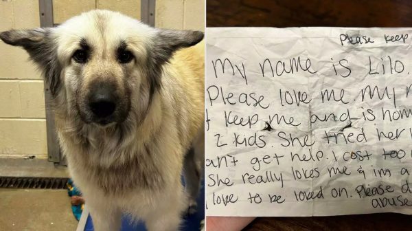 «Με λένε Lilo, αγαπήστε με»: Το συγκινητικό μήνυμα και η επανένωση με την άστεγη μαμά της