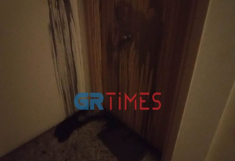 Επίθεση με μπογιές στο γραφείο της Έλενας Ράπτη – Καταδικάζει η ΝΔ